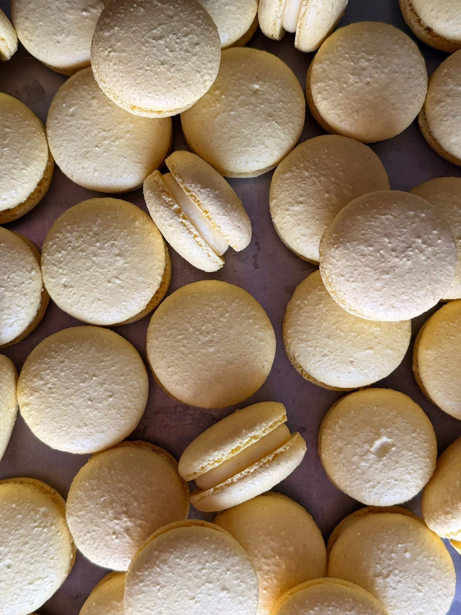 Delicate French macarons